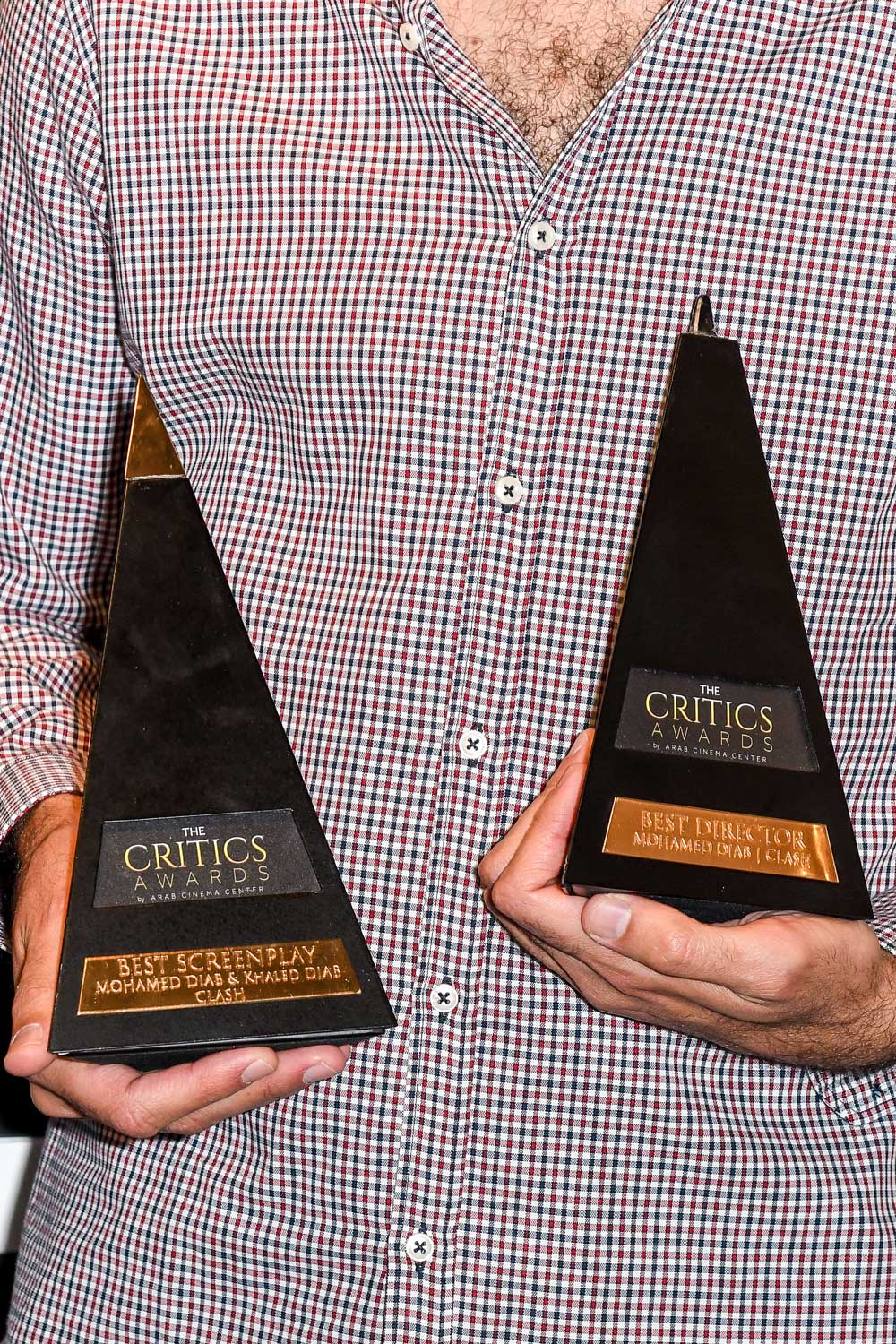 The Critics Awards